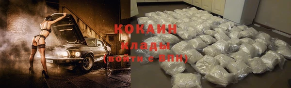 прущие крисы Алзамай