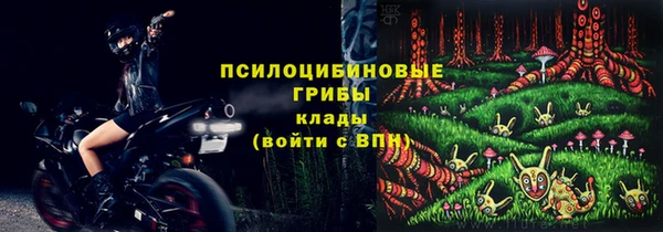 твердый Алексеевка