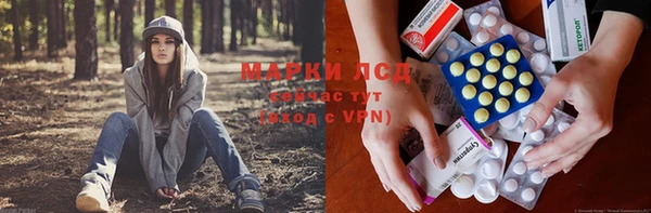 прущие крисы Алзамай