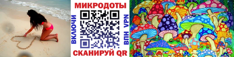 Псилоцибиновые грибы Psilocybine cubensis  OMG онион  Отрадная 