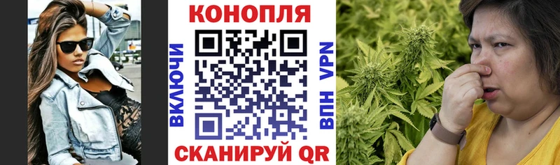 купить наркоту  Отрадная  Каннабис AK-47 